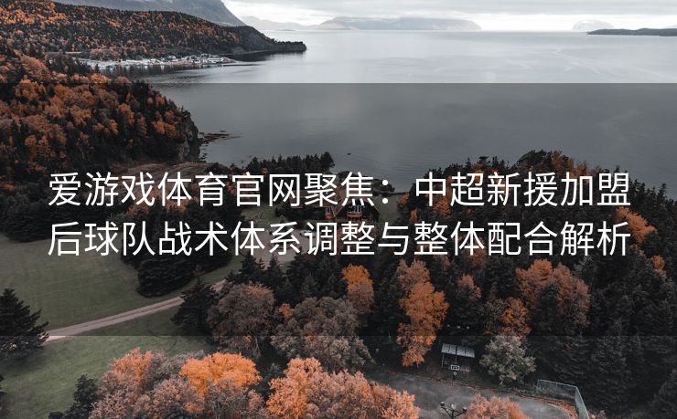 爱游戏体育官网聚焦：中超新援加盟后球队战术体系调整与整体配合解析