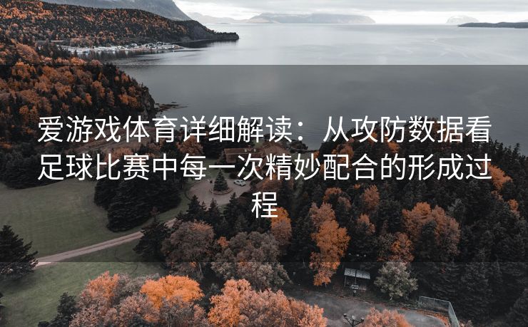 爱游戏体育详细解读：从攻防数据看足球比赛中每一次精妙配合的形成过程